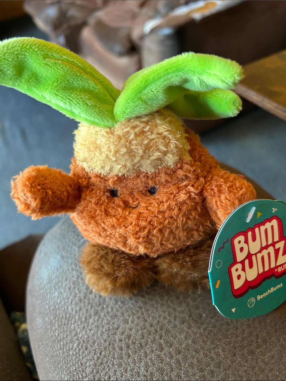 Bum Bumz Pineapple Plush Toy with Green Leaves - Cute Soft Fruit Character